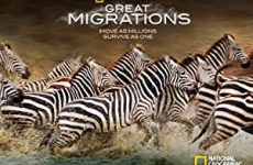 Great Migrations