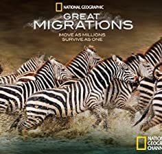 Great Migrations