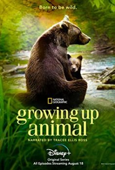 Growing Up Animal