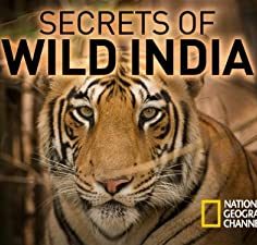 Secrets of Wild India