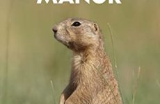 Prairie Dog Manor