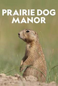 Prairie Dog Manor