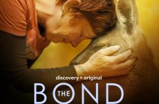 The Bond